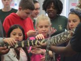 Elementary STEM Fair