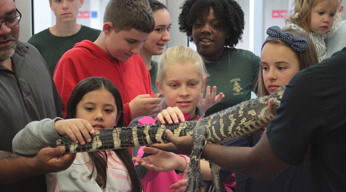 Elementary STEM Fair