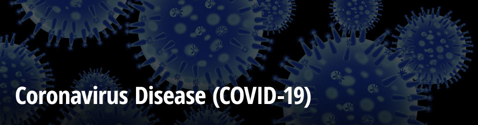 Covid 19 Dashboard St Johns County School District