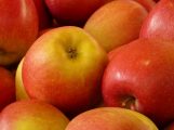 FEMA free school lunch ends on Oct. 20