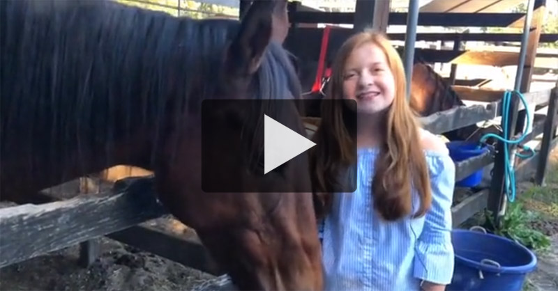 Horse Sense and Sensability Video Thumbnail